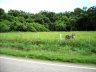 DSCN1646.JPG - 